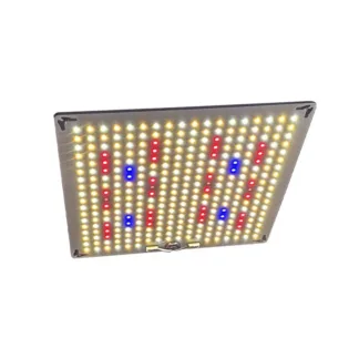 Highlight 200w LED Grow Light Quantum Board
